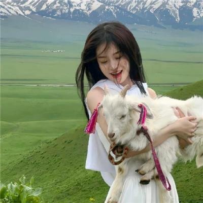使用下方 20 个影片名，按顺序一一对应，不要改动片名文字，只根据片名和括号内类型提示来虚构全新的故事内容： 魔鬼终结者2 致埃文·汉森 市井小民 残酷的彼得 海棠依旧 碟中谍4:幽灵协议 送赞雪橇犬 被拒人生 新书·忍者 绝命长征 逆光教师 兔子和公牛 快一秒的他 险道神郁保四 刑房 食在好源头第四季 大巫歌：恨与兴 永不遗忘的美丽 动态漫画·我有百万技能点 世界第一初恋第二季
